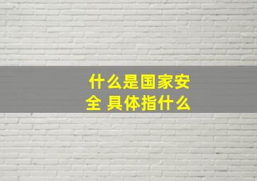 什么是国家安全 具体指什么